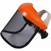 Visiere Protection