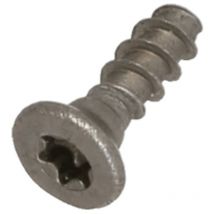 Vis torx 10 3x10