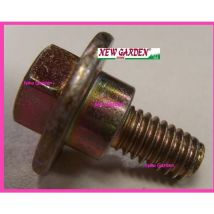 Vite bullone Briggs&stratton 009X67MA