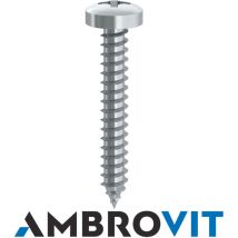 Vite autofilettante tc zincata mm 2,9x22. Prezzo per Pezzo.