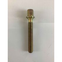 Vite regolazione M16X100 originale Goldoni 00000248