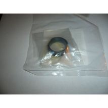 Vite senza fine pompa olio motosega Echo ricambio originale CS550 CS590 CS600