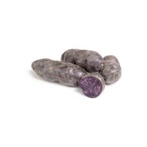 Debaere - Vitelotte (Chair Violette) 60 Plants de pomme de terre