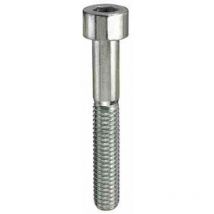 Viti metriche tcei Inox A2 - M8 x 80 - 2 pz.