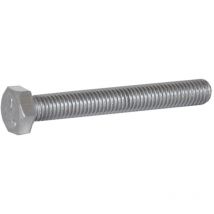 Bullone t.e. inox 6x20