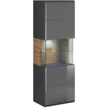 Vitrine murale 1 porte avec led Jules Gris et Bois