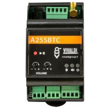 Leistungsverstärker 25+25W Vivaldi Giove A25SBTC