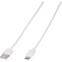 Cavo usb usb 2.0 Spina usb-a, Spina usb-c 1.00 m Bianco 39452 - Vivanco