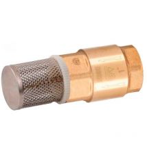 Genebre - Válvula Retención 1'' + Filtro Válvula Retención 1''