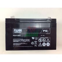 6V 12Ah Bleibatterie – Faston-Terminals 4,8 mm – Ideal für Energieversorgung – Fiamm