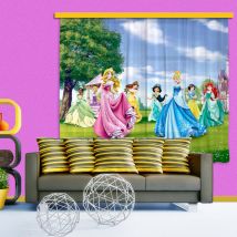 Voilage Rencontre Princesse Disney