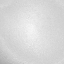 Leco - Voile de verre Professionnel sans raccord de 50 m²