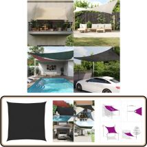Voile d'ombrage 160 g/m² Noir 2x2 m pehd - Parasol - Voile D'ombrage - Parasol Carré - Parasol Extérieur - Parasol Jardin