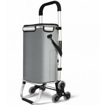 Carrito Compra Plegable Chasis Aluminio, Carro de la Compra 6 Ruedas con Bolsa Impermeable Desmontable, 50L Gris - Vounot