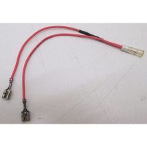 Voyant d'allumage pour gaufrier compatible LAGRANGE - C080302