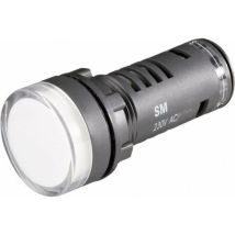 Voyant De Signalisation Led Barthelme 58602413 Vert 24 V/dc, 24 V/ac 1 Pc(s) Q35385