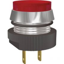 Signal Construct - Voyant de signalisation led SKCD16712 vert ultra 12 v/dc 1 pc(s)