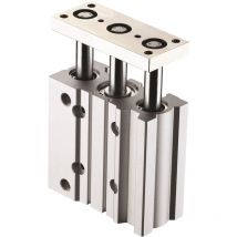 Rs Pro - Vérin guidé pneumatique sgm, course 50mm, ø du piston 50mm, action Double ( Prix pour 1 )