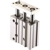 Rs Pro - Vérin guidé pneumatique sgm, course 75mm, ø du piston 16mm, action Double ( Prix pour 1 )