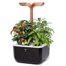Unbekannt - Véritable - Potager de cuisine - Exky Copper blanc + 2 Lingots