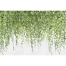 Livingwalls - Vue panoramique feuillage verdoyant Vert 4mlx2.70ml