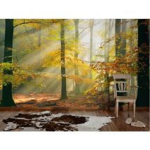 Homemaison - Papier-peint panoramique Forest Vert 5mlx2.50ml