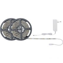 Paulmann - SimpLED 78977 Ruban led (Set complet) avec connecteur mâle 12 v 10 m blanc lumière du jour 1 pc(s)