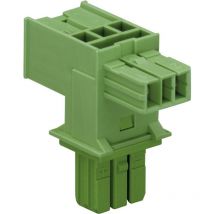 Wago - Netz-T-Verteiler Netz-Stecker - Netz-Buchse, Netz-Buchse Gesamtpolzahl: 2 Grün 1 St.
