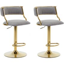 Juego de 2 Taburetes de Bar en Terciopelo Acolchado Sillas de Mostrador con Respaldo Curvado Chic para el Hogar Pub Restaurante, Gris, Wahson