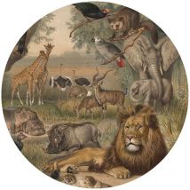 Carta da Parati Circolare Animals of Africa 142,5 cm Wallart Marrone