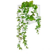 Wally Dekorativer quadratischer Wandgarten. Misst 12x12x12 cm. Hergestellt in Spanien.