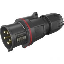 Walther Werke FW231506SK CEE Stecker 32 A 5polig 200 V, 415 V 1 St.