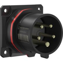 FW610506CC FW610506CC cee Anbaustecker 16 a 5polig 400 v 1 St. - Walther Werke