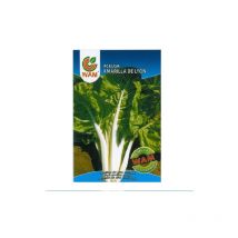 Wam Lyon gelbe Mangoldsamen, ca. 10 g