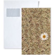 1 musterstück S-AL-11004 Wallface alpine white daisy natural Collection Wandverkleidung muster in ca. din A5 Größe