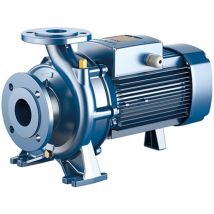Pedrollo - Wassernormpumpen nach en 733 für die industrie Einzelphase Fm40/125C Gusseisen