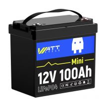 12V 100Ah Mini LiFePO4 Akku – Hochwertige A-Zellen, integriertes bms 100A, Schutz gegen niedrige Temperaturen, bis 15000 Ladezyklen – Kompaktakku für