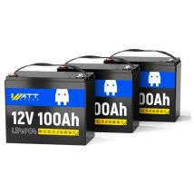 Batterie Lithium LiFePO4 12V 100Ah(36V 100Ah) 100A bms, 1280Wh 5000-15000 Cycles Coupure Basse Température Idéale pour Système Solaire Camping-Car