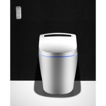 Wc Monobloc Toptoilet Luxe Platinium 2