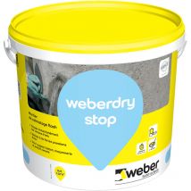 Weber Saint Gobain - Mortier de colmatage ultra-rapide, 20kg, Weberdry stop, weber