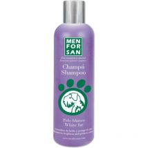 Weies Haar Shampoo 300ml Exclusives Angebot