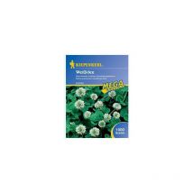 Weissklee, 1 kg - 615724 - Kiepenkerl