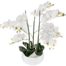 Wellhome - well home – Orchideentopf aus weißer Keramik, H65