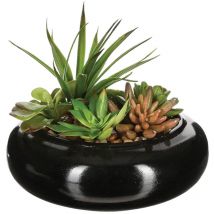 Composition de centre de table composée d'un assortiment de plantes avec un vase en céramique - Wellhome