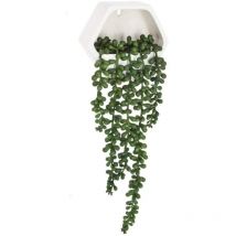 Plante murale contemporaine - Wellhome