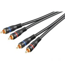 Goobay avk 132-1000 10.0m cable de audio 10 m 2 x rca Negro