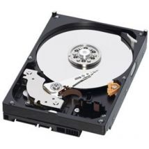 Disco Western Digital wd WD10EZEX