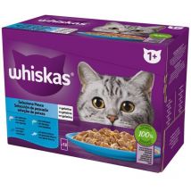 Confezione da 12x85 gr