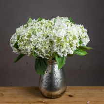 Lace Cap Hydrangea Artificial Plant - Fabric/Plastic - L25 x W25 x H48 cm - White