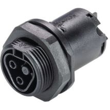Electric 96.021.5053.1 Rundstecker Buchse, Einbau Gesamtpolzahl: 2 Serie (Rundsteckverbinder - Wieland
